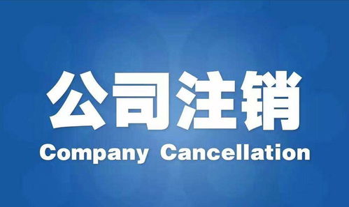 江蘇代理注冊公司信譽優良，專注廣告設計服務